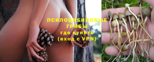 метадон Арсеньев