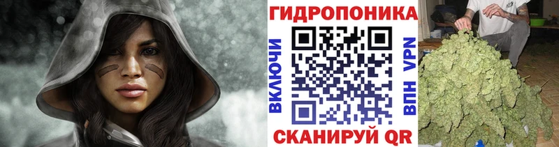 Шишки марихуана VHQ  купить наркоту  Опочка 